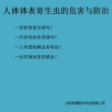 陰虱 頭虱 螨蟲 疥瘡 頭發(fā)上白色管狀物 剪發(fā)蟲 卷發(fā)蟲的危害與防治
